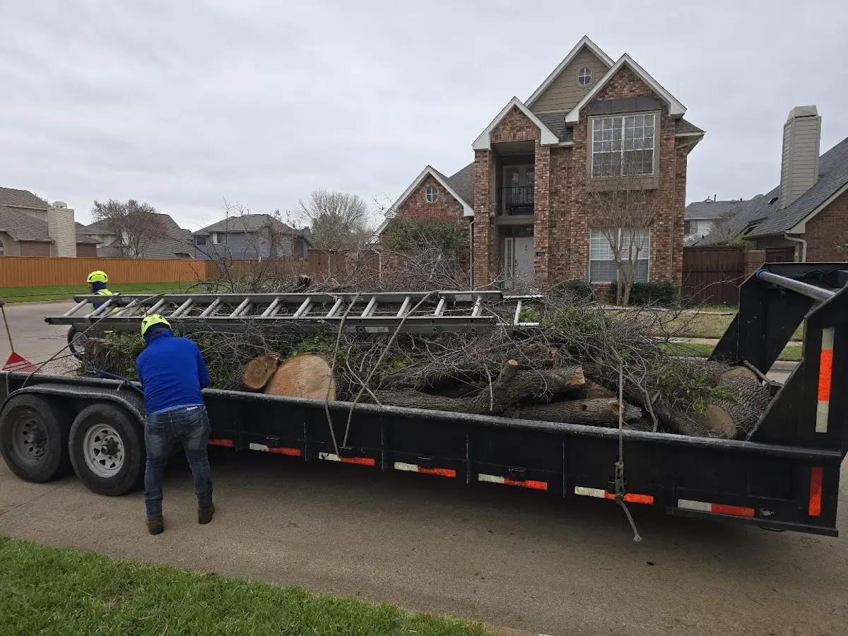 Expert Tree Fertilization with proper safety equipment in Graymont